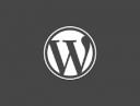 WordPress Training & Consulting - WP.Training logo
